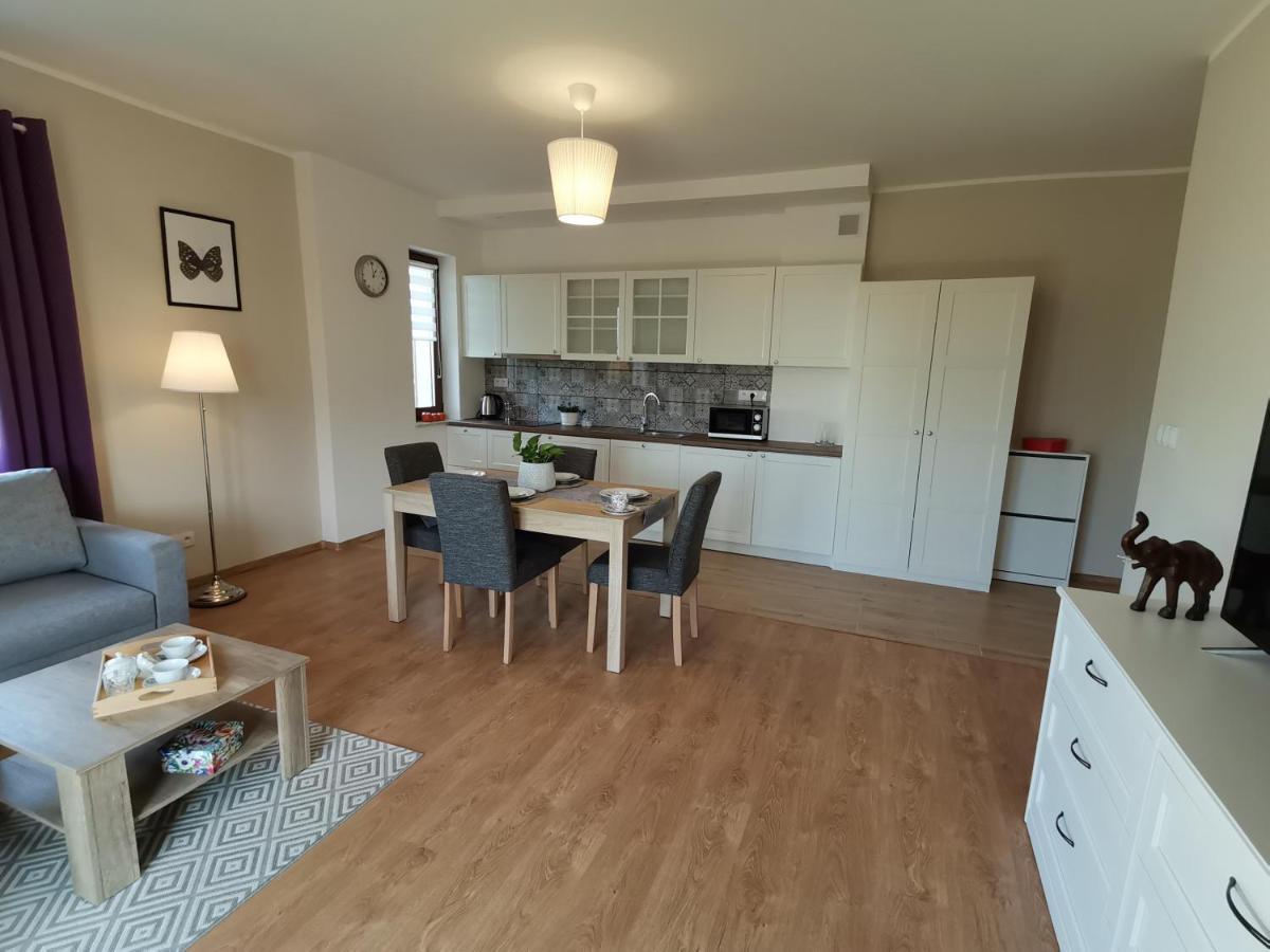Komfort Apartament Nałęczów 外观 照片
