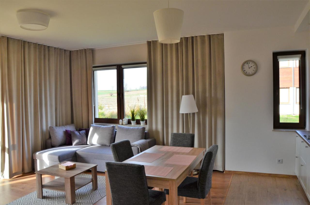 Komfort Apartament Nałęczów 外观 照片
